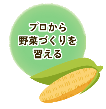 プロから野菜づくりを習える