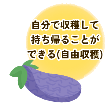 自分で収穫して持ち帰ることができる(自由収穫)