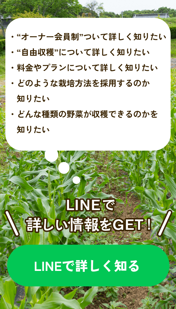 LINEで詳しく知る