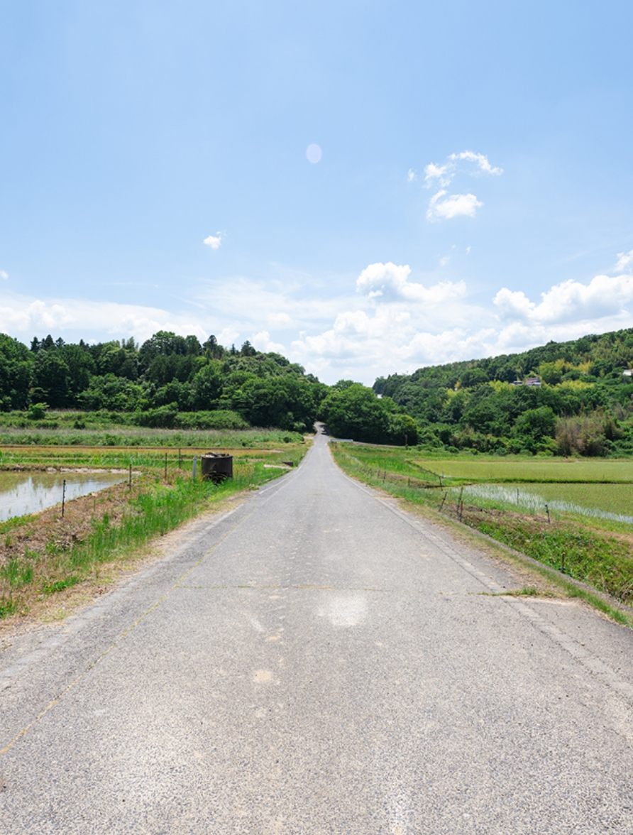 畑の間を通る道